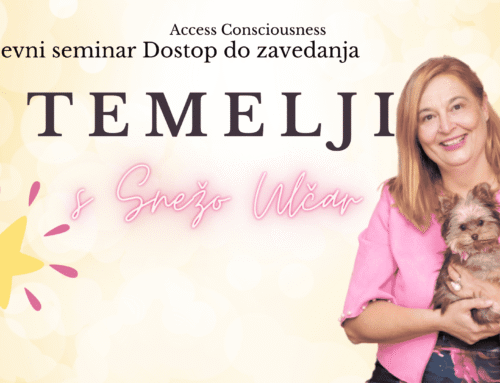 4-dnevni Seminar TEMELJI s Snežo Ulčar