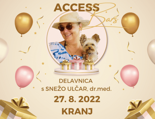 Access BARS delavnicaⓇ s Snežo Ulčar v Kranju