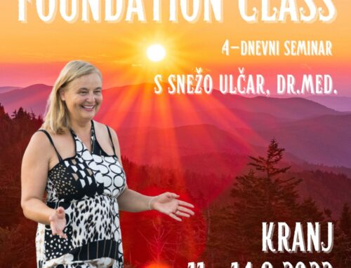 Seminar TEMELJI s Snežo Ulčar, dr.med.